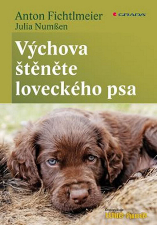 Výchova štěněte loveckého psa