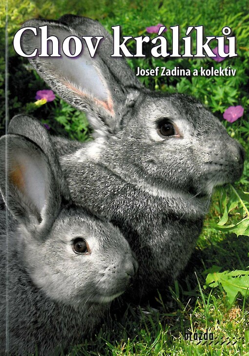 Chov králíků