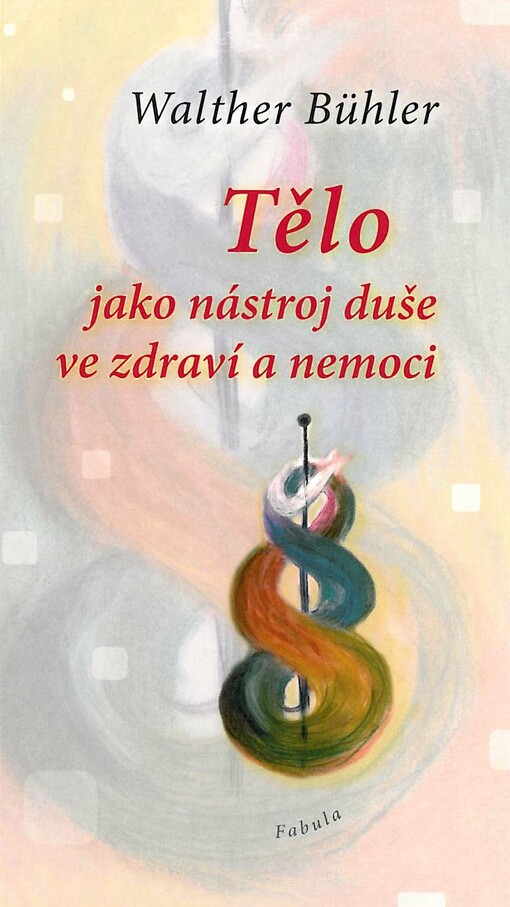Tělo jako nástroj duše ve zdraví a nemoci - Walther Bühler