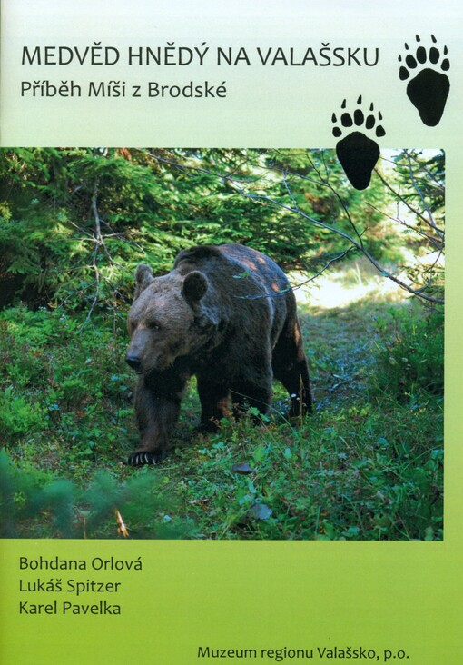 Medvěd hnědý na Valašsku :příběh Míši z Brodské