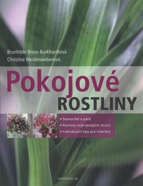 Pokojové rostliny