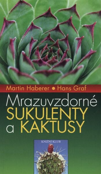 Mrazuvzdorné sukulenty a kaktusy