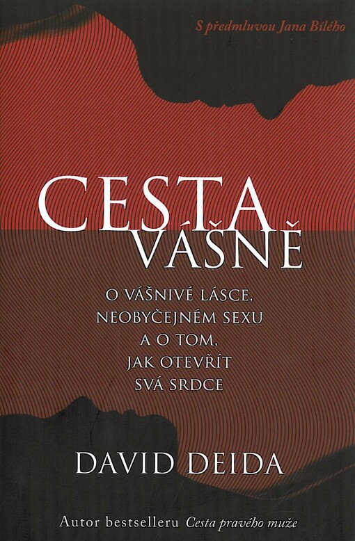 Cesta vášně :o vášnivé lásce, neobyčejném sexu a o tom, jak otevřít svá srdce