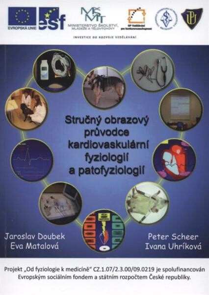 Od fyziologie k medicíně :stručný obrazový průvodce kardiovaskulární fyziologií a patofyziologií