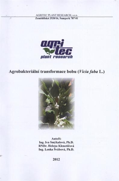 Agrobakteriální transformace bobu (Vicia faba L.)