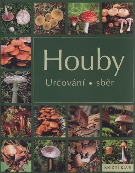 Houby :určování, sběr