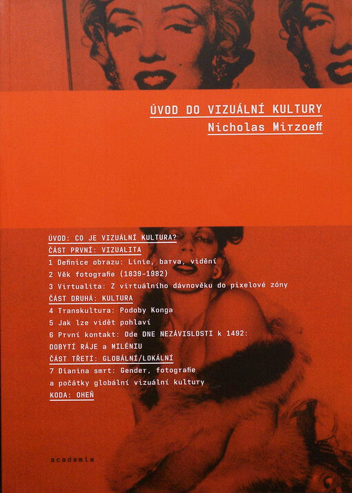 Úvod do vizuální kultury