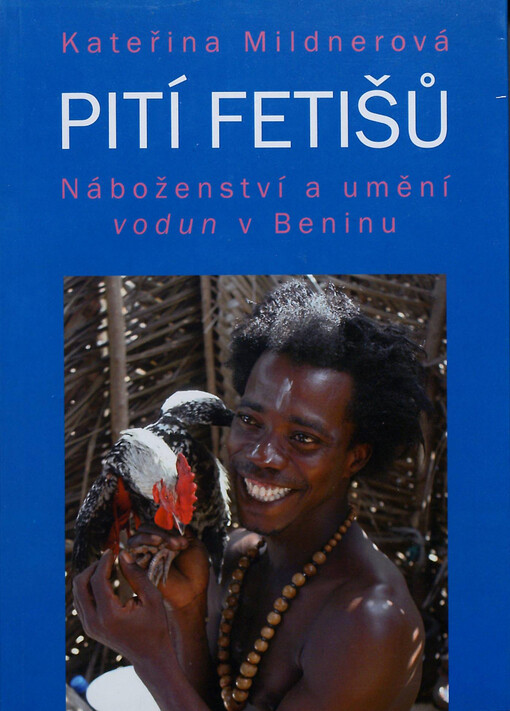 Pití fetišů :náboženství a umění vodun v Beninu