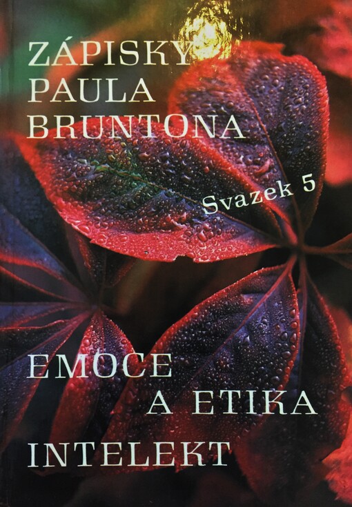 Zápisky Paula Bruntona, Svazek 5, Emoce a etika; Intelekt