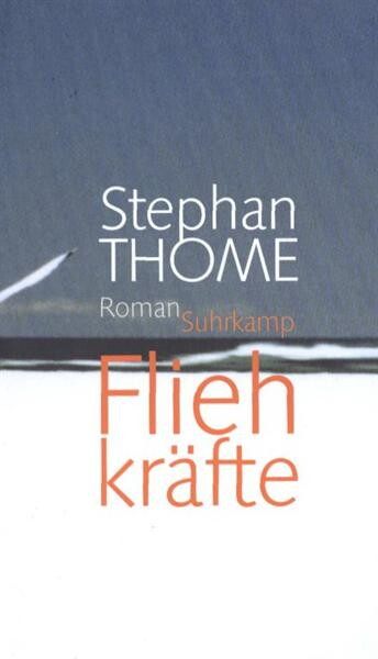 Fliehkräfte :Roman