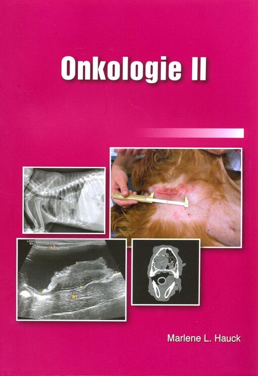 Onkologie II