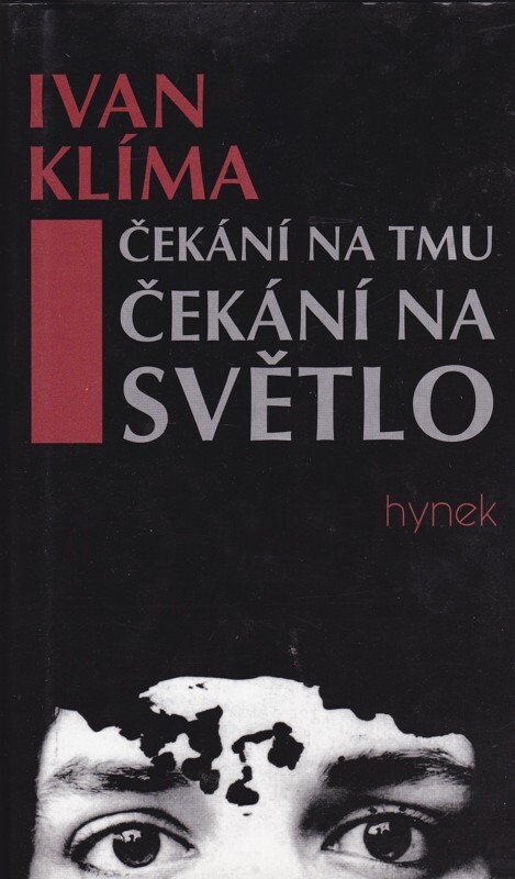 Čekání na tmu, čekání na světlo : román