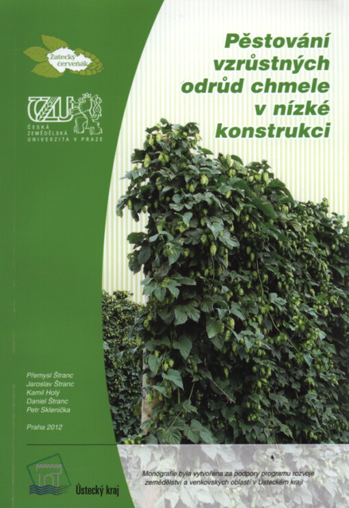 Pěstování vzrůstných odrůd chmele v nízké konstrukci