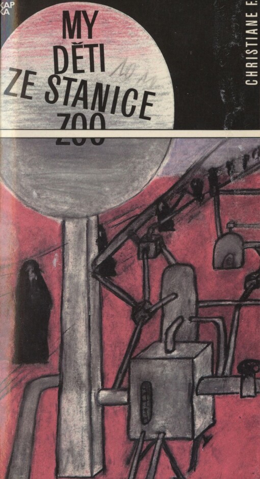 My děti ze stanice ZOO :příběh narkomanky