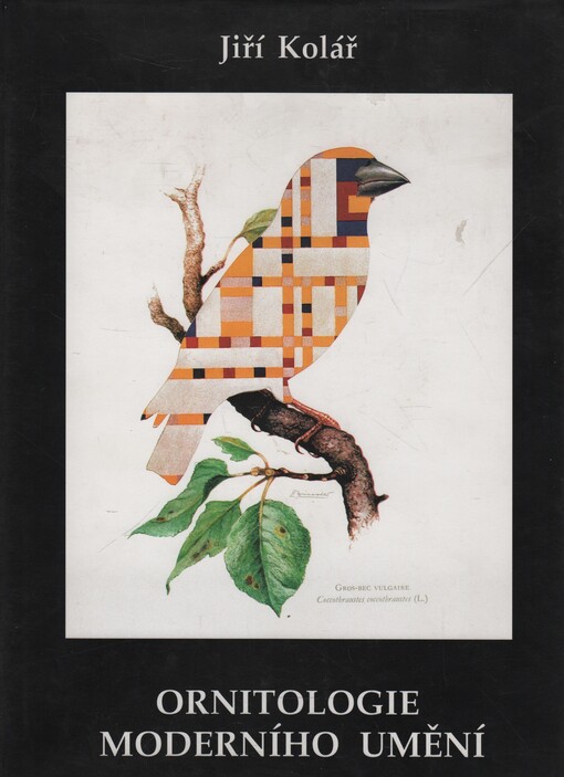 Ornitologie moderního umění