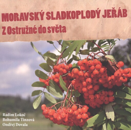Moravský sladkoplodý jeřáb :z Ostružné do světa