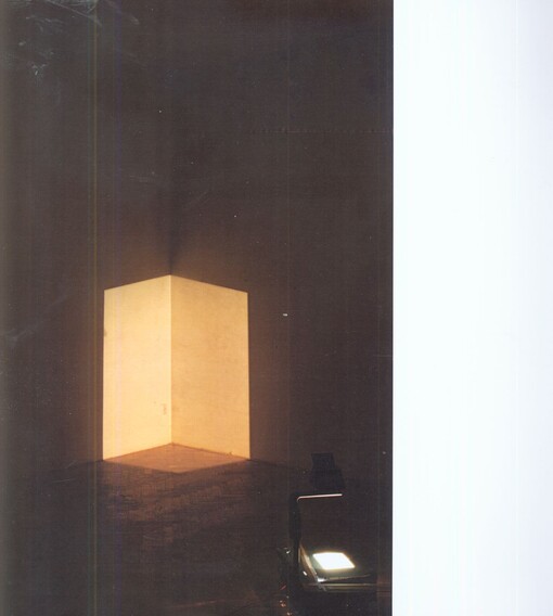 Veronika Resslová :celodenní promítání v kině bez významu : Galerie Dům, 5.5.-16.6.2013