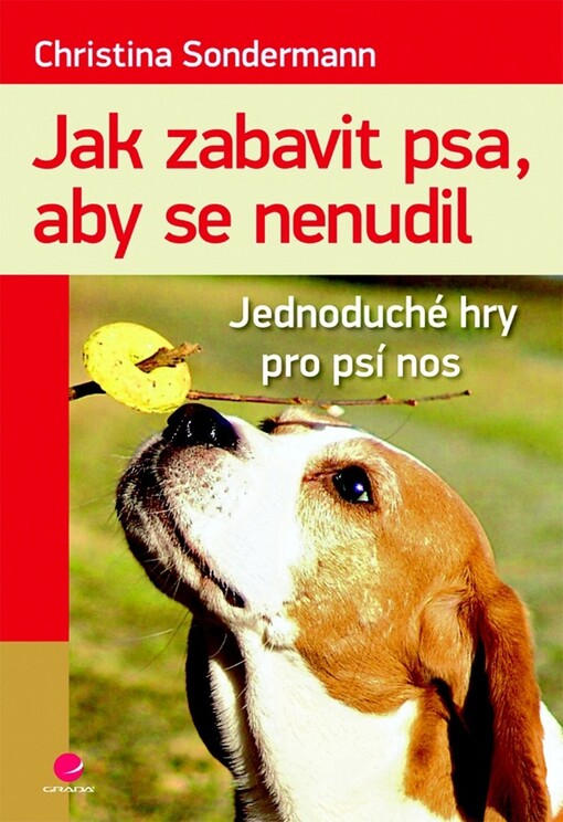 Jak zabavit psa, aby se nenudil :jednoduché hry pro psí nos