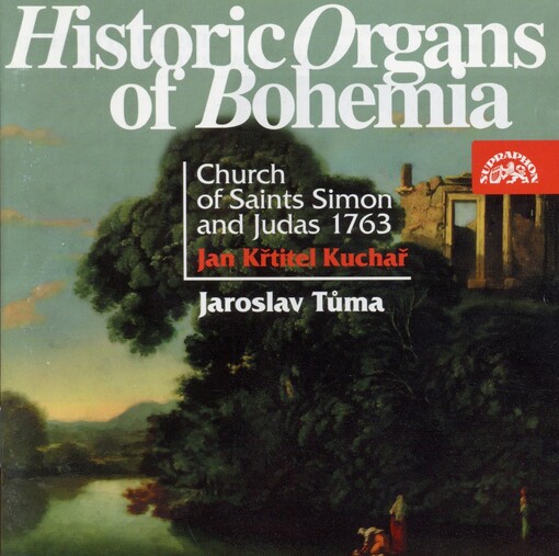 Historic organs of Bohemia. (VI)