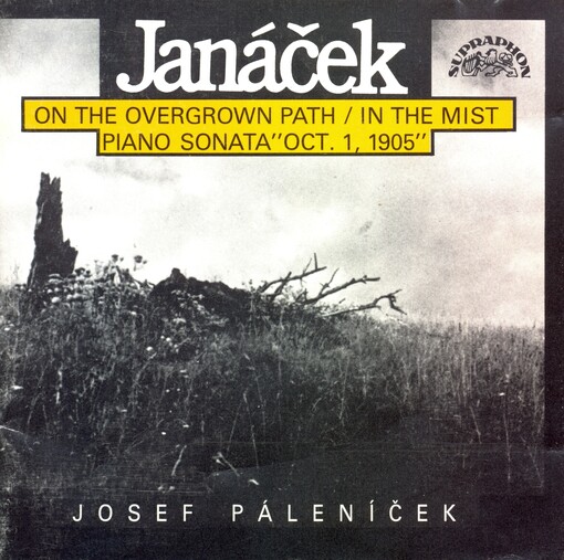 V mlhách :čtyři klavírní skladby ; Sonáta es moll, pro klavír, 1.X.1905 : Z ulice ; Po zarostlém chodníčku : cyklus skladeb pro klavír.I. řada