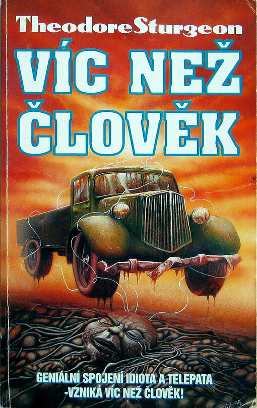 Víc než člověk