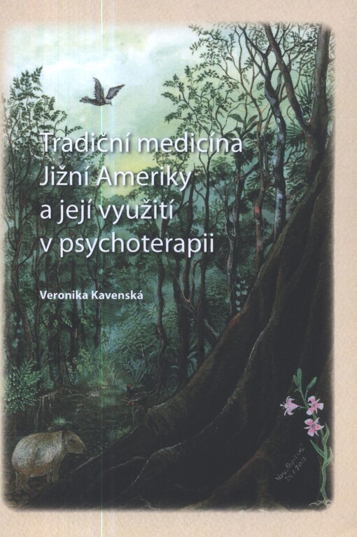 Tradiční medicína Jižní Ameriky a její využití v psychoterapii