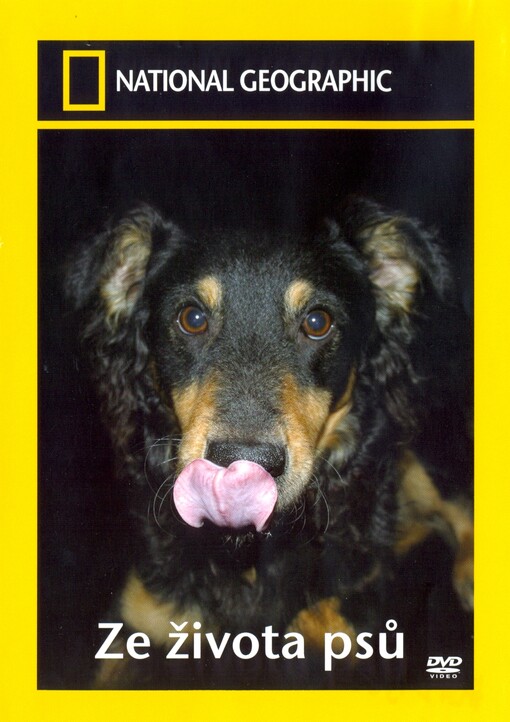 Ze života psů