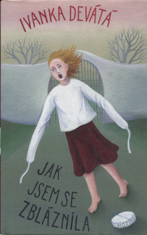 Jak jsem se zbláznila