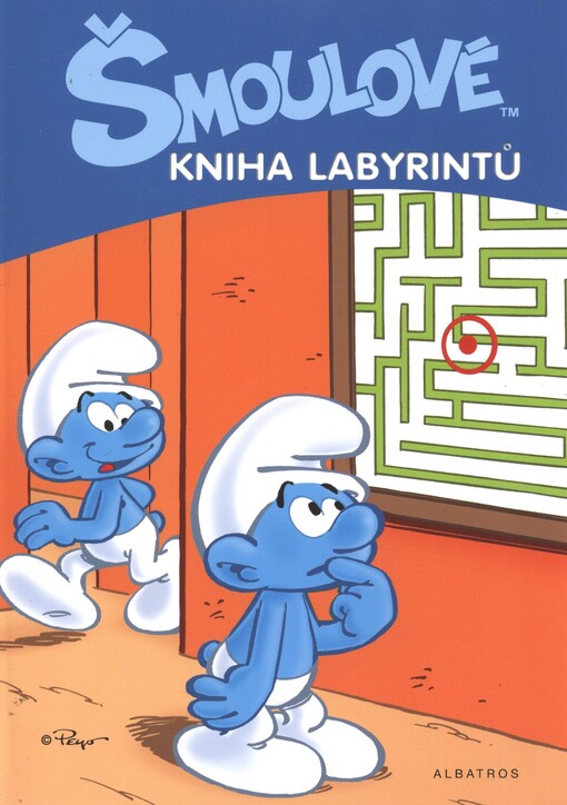 Kniha labyrintů