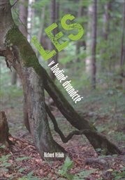 Les v hodině dvanácté