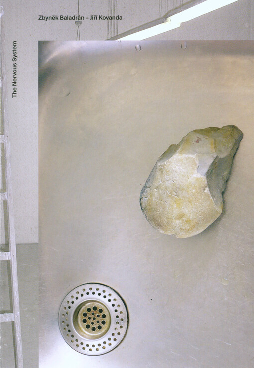 The nervous system :[Kunstverein Milano, December 2011