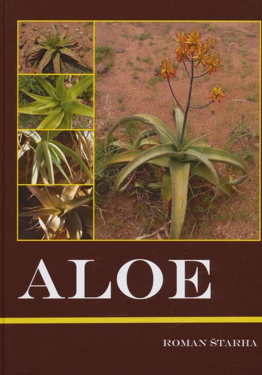 Aloe