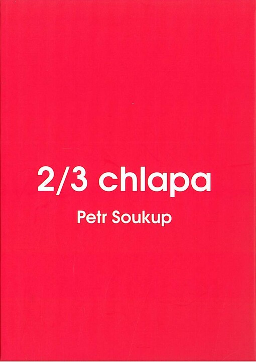 2/3 chlapa
