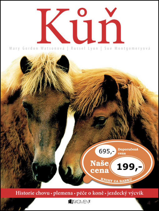 Kůň