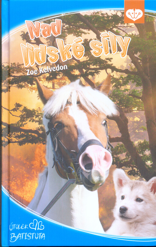 Nad lidské síly