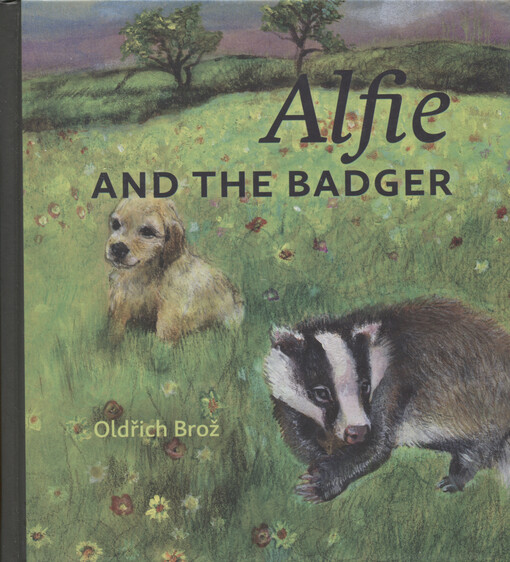 Alfie and the badger