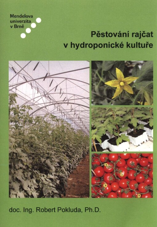 Pěstování rajčat v hydroponické kultuře