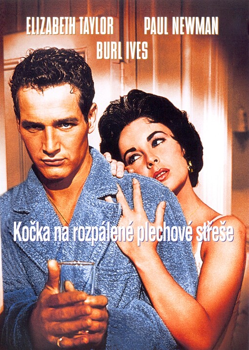 Kočka na rozpálené plechové střeše