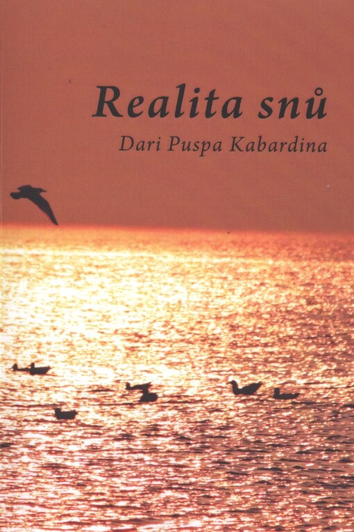 Realita snů
