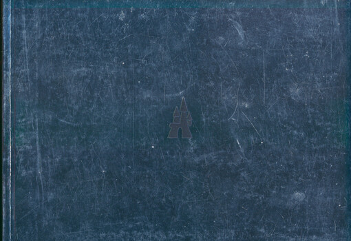 Genderové stereotypy v animované tvorbě Walta Disneyho: ideologie, queer, diskursivní analýza