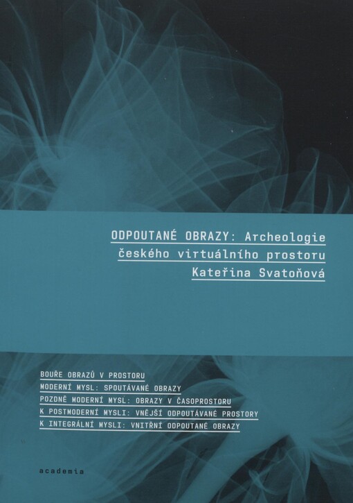 Odpoutané obrazy : archeologie českého virtuálního prostoru