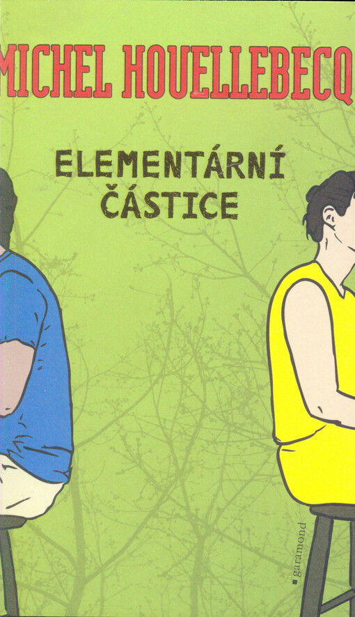 Elementární částice