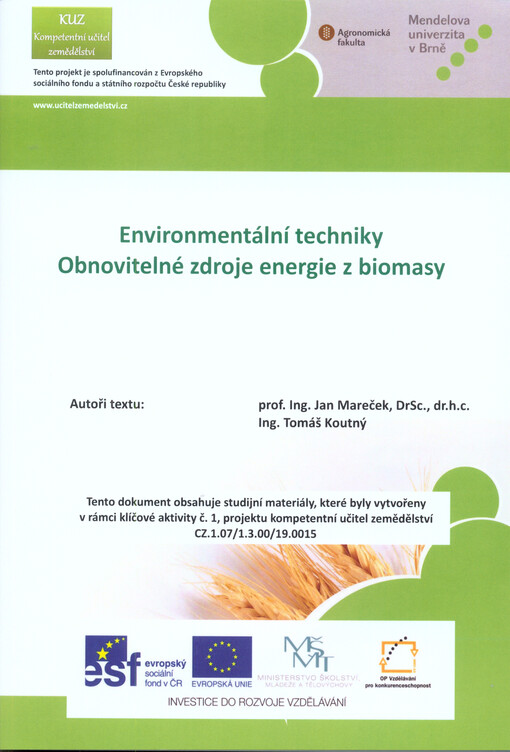 Environmentální techniky - obnovitelné zdroje energie z biomasy :odborný kurz