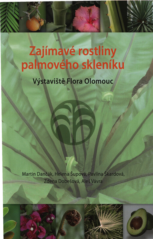 Zajímavé rostliny palmového skleníku :Výstaviště Flora Olomouc