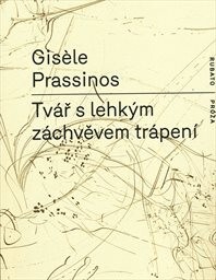 Tvář s lehkým záchvěvem trápení