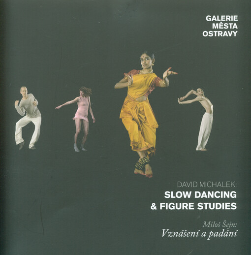 David Michalek: slow dancing & figure studies ;Miloš Šejn: vznášení a padání