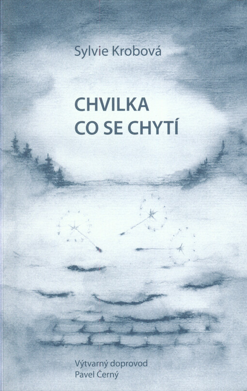 Chvilka, co se chytí