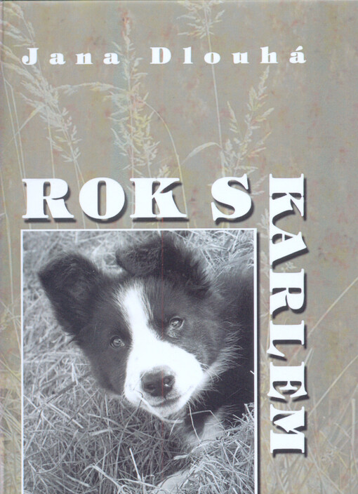 Rok s Karlem