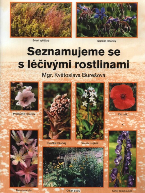 Seznamujeme se s léčivými rostlinami