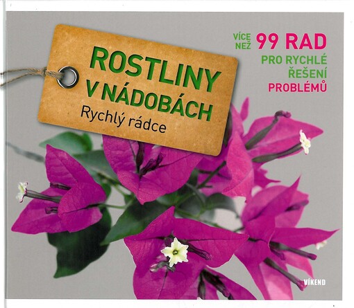 Rostliny v nádobách